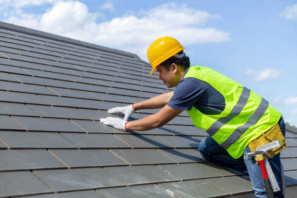 Best Asphalt Shingle Roofing  in Newburg, WI